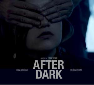 After dark (2024)