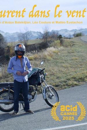 Laurent dans le vent (2025)