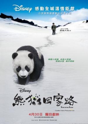 Panda on the Way Home (2009)