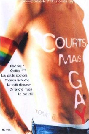 Courts mais GAY: Tome 6 (2003)