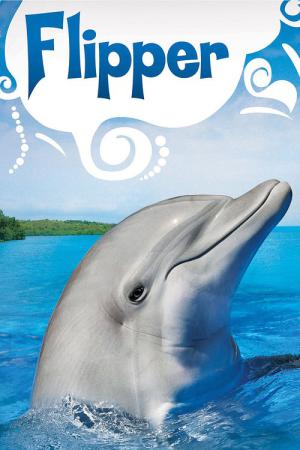 Flipper le dauphin (1964)