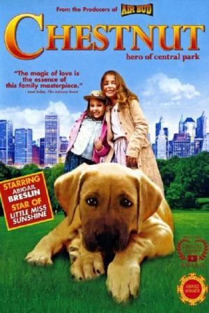 Panique à Central Park (2004)
