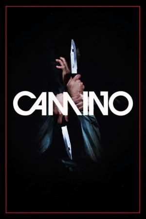 Camino (2015)