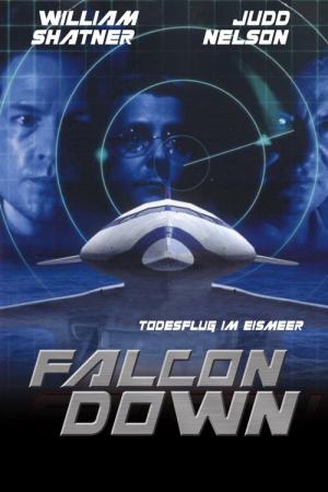 Falcon, l'Arme Absolue (2001)