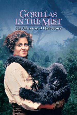Gorilles dans la brume (1988)