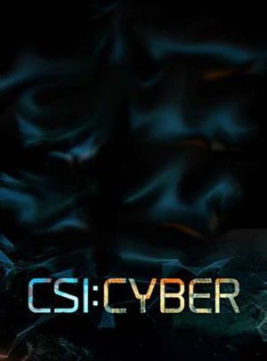 Les Experts : Cyber (2015)