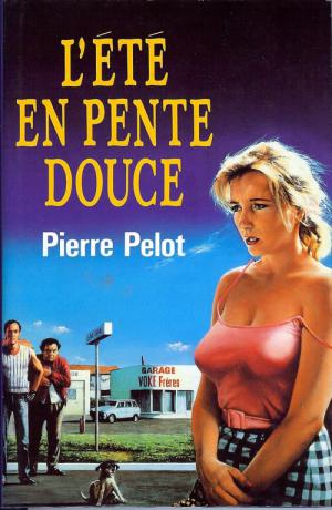 L'Été en pente douce (1987)