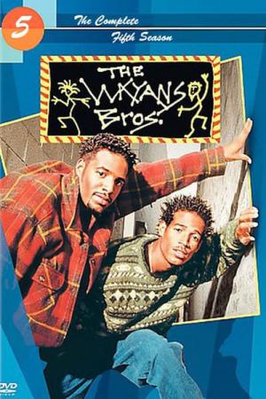Les frères Wayans (1995)