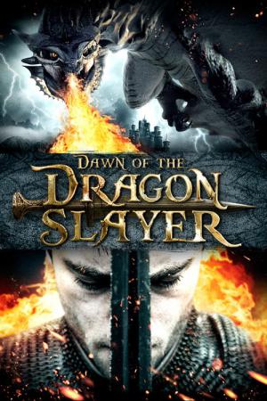 Paladin: Le dernier chasseur de dragons (2011)