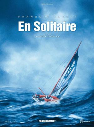 En solitaire (2013)