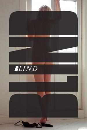 Blind : Un rêve éveillé (2014)