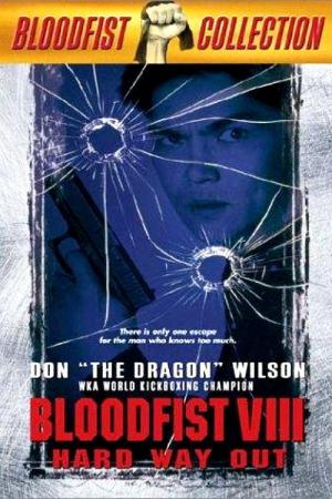 La Cible du dragon (1996)