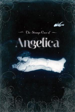 L'Étrange Affaire Angélica (2010)