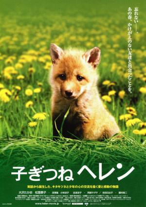 Tom et le petit renard (2006)