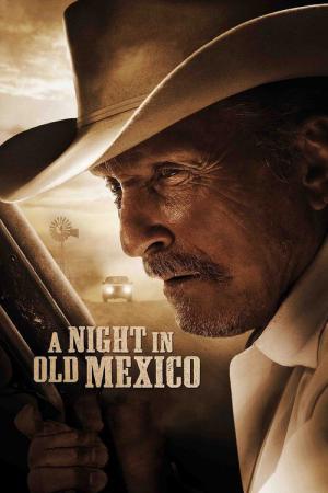 Une nuit au Vieux-Mexique (2013)
