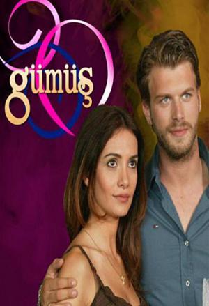 Gumus (2005)