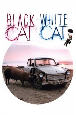 Chat noir, Chat blanc (1998)