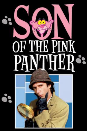 Le Fils de la Panthère rose (1993)
