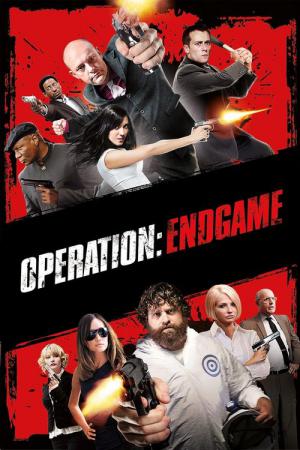 Operation : Endgame (2010)