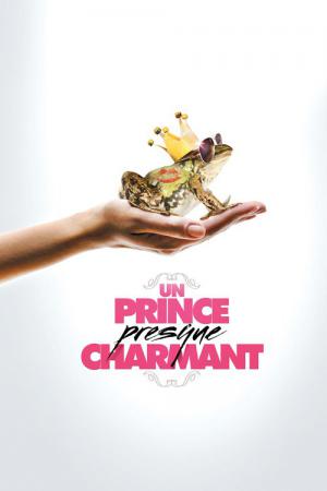 Un Prince (presque) charmant (2013)