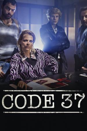 Code 37 : Affaires de moeurs (2009)