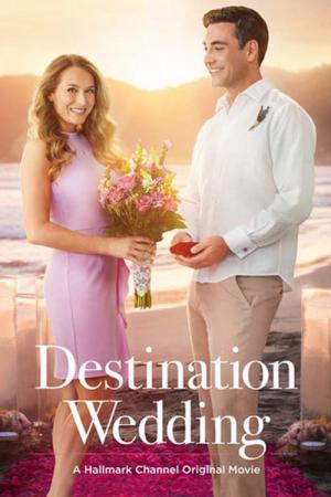 Destination mariage (2017)