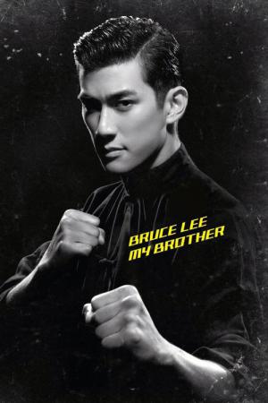 Bruce Lee, naissance d'une légende (2010)