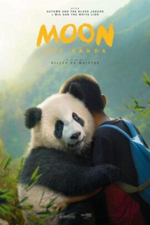 Moon le Panda (2025)
