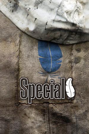 Special (2006)