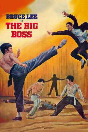 Big Boss (1971)