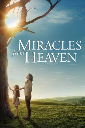 Miracles du ciel (2016)