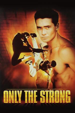 Streetfighter, la rage de vaincre (1993)