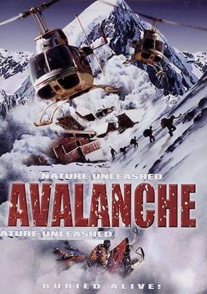 Danger Avalanche (2004)