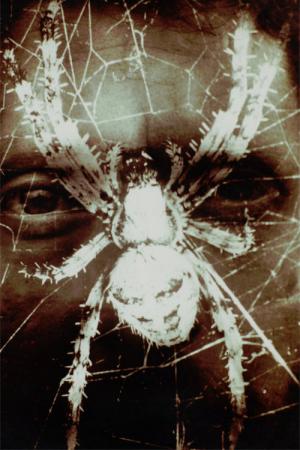 A quoi rêve l'araignée ? (1982)