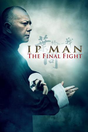 Ip Man : Le Combat final (2013)