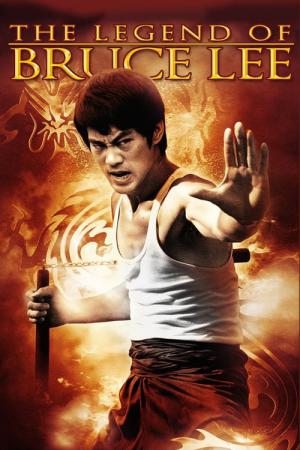 Bruce Lee - La Mémoire du Dragon (2009)