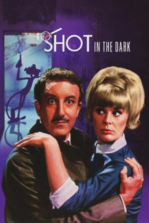 Quand l'inspecteur s'emmêle (1964)