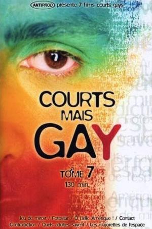 Courts mais GAY: Tome 7 (2004)