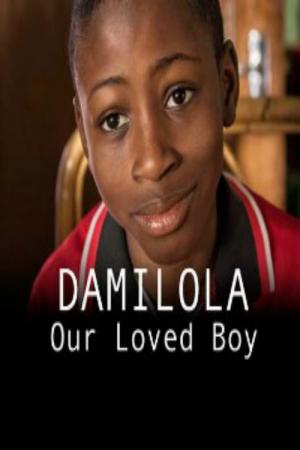 Damilola, Our Loved Boy (2016)
