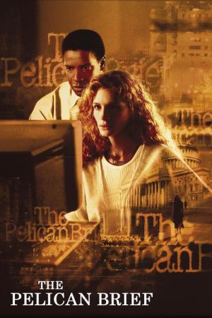 L'affaire Pélican (1993)