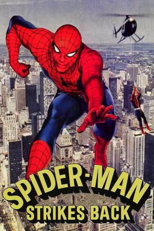 La Riposte de l'homme-araignée (1978)
