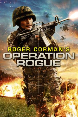 Opération Rogue (2014)