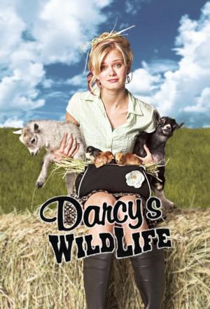 Darcy (2004)