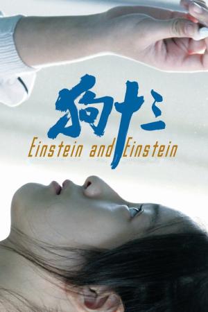 Einstein et Einstein (2013)
