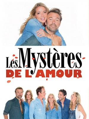 Les mystères de l'amour (2011)