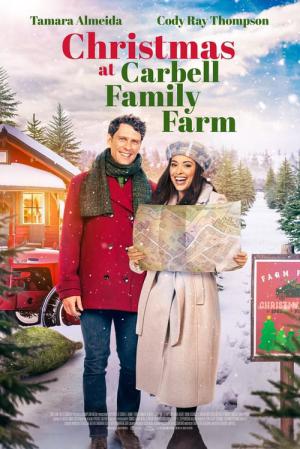 Un Noël plein d'histoires (2024)