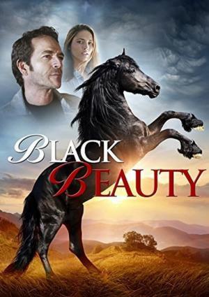 Black Beauty (2015)