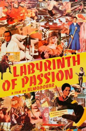 Le Labyrinthe des passions (1982)