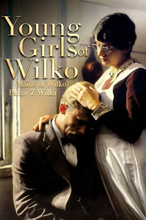 Les demoiselles de Wilko (1979)