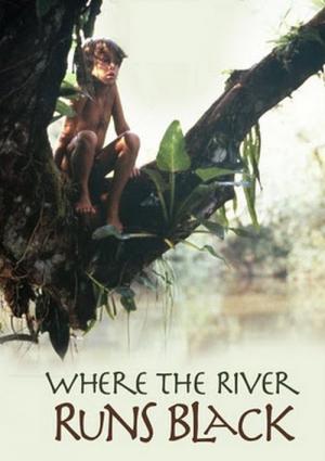 Quand la rivière devient noire (1986)